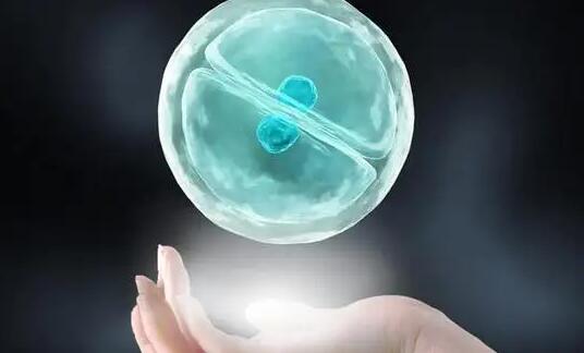 吉林供卵试管 吉林试管婴儿费用 ‘孕囊数据两小一大是男孩’