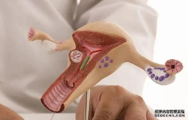 郑州最专业的代怀 2022郑州大学第一附属医院申请供卵的流程有哪些？附供卵试管流程一览 ‘孕男宝的晚期特征’