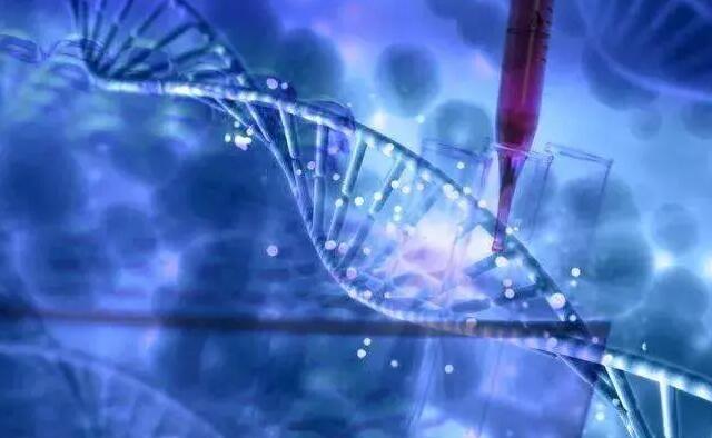 供卵试管武汉 2023武汉协和医院做三代试管筛查一个胚胎要多少钱？ ‘彩超下的男孩’