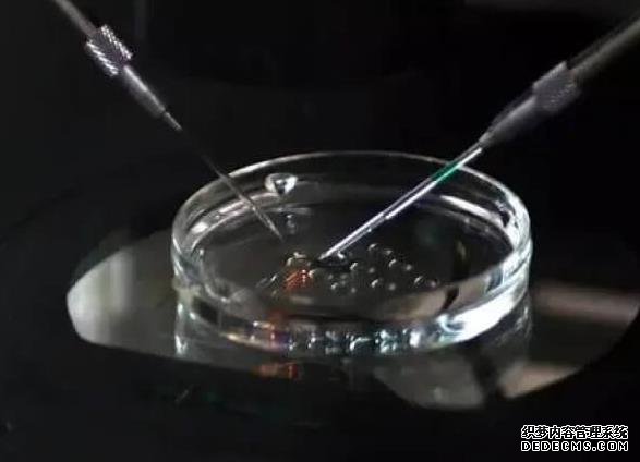 玉林市妇幼保健院试管婴儿技术怎么样？成功率多少？