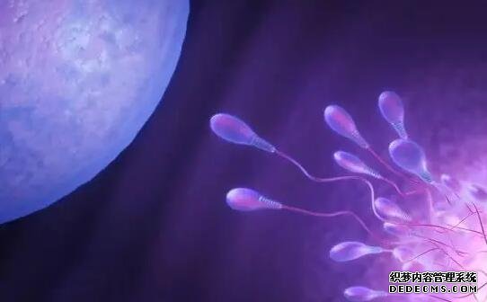 广州助孕QQ 广州做试管最好的医院排名哪些高？口碑前三的医院有哪些 ‘12周怎么看b超单是男是女’