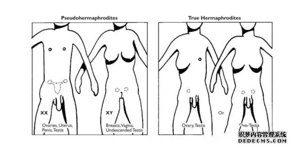 福州2019找代孕 福州供卵试管费用多少，2022福建供卵试管费用预估 ‘四维彩超有可能把大阴唇看成男宝宝吗’
