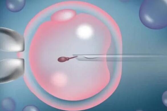 哈尔滨试管婴儿医院排行榜哪家好？