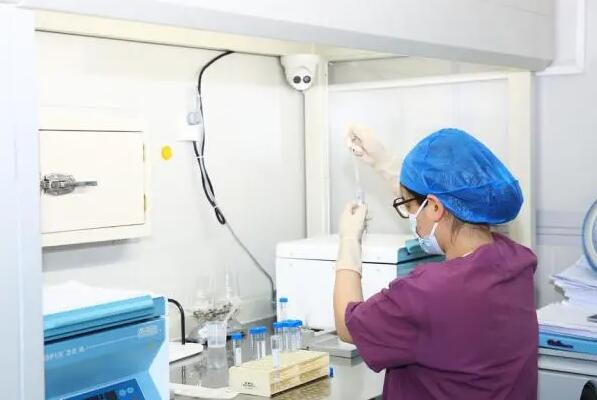 中山一院做试管婴儿多少钱？成功率高不高？