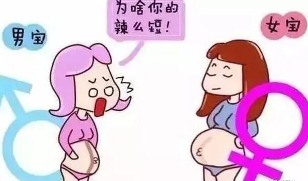 合肥供卵试管 合肥105和省立哪个试管更好？泰国试管婴儿比国内便宜么？ ‘四维男女性别区别清晰图’