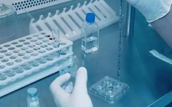 绍兴试管供卵 在绍兴市妇幼保健院做供卵试管婴儿费用大约多少？ ‘孕囊14×24×9是男孩女孩’