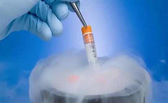 泉州供卵试管 网友分享在泉州做四维彩超攻略 ‘孕10周b超可以看男女吗’