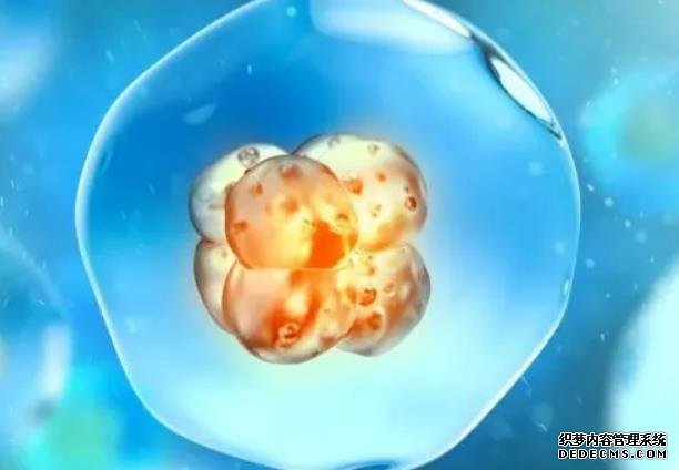 2023焦作捐卵试管医院排名公布！附各大医院卵源等待时间