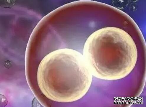 北京供卵试管资讯 2022年北京市试管婴儿男孩儿捐卵成本估算 ‘彩超男女婴区别’