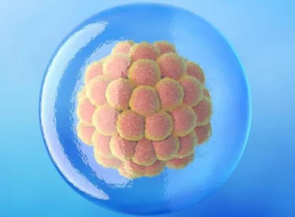 深圳试管可以做双胞胎吗 试管婴儿费用高不高啊？检查是少精