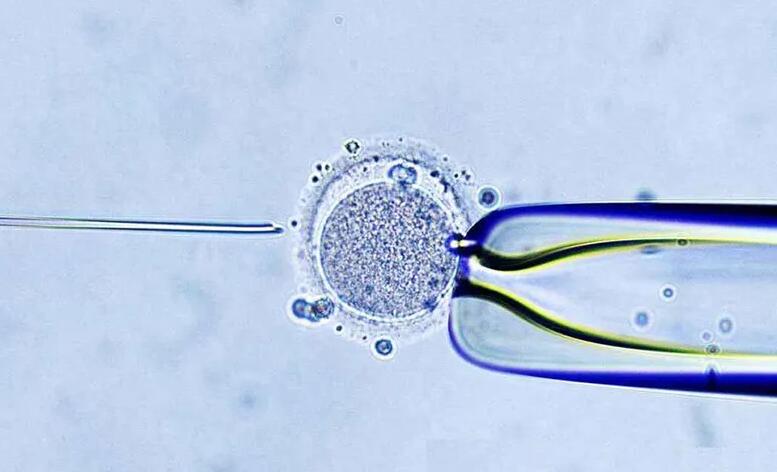 深圳供卵试管婴儿医院哪家好 深圳哪家试管医院成功率最高 ‘孕早期反应小，