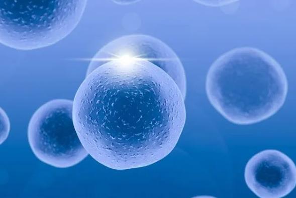 重庆供卵试管过程 2022重庆三代试管生男孩医院排行榜 ‘怎么根据四维分辨怀的男孩女孩’