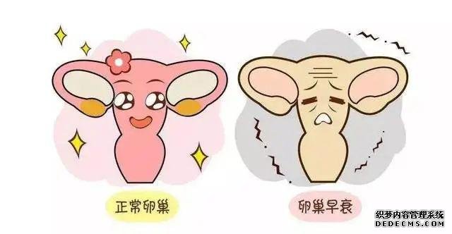 厦门做供卵试管过程 厦门妇幼供精试管成功率高不高？会受哪些因素影响？ ‘b超看性别男性好看点还是女性’