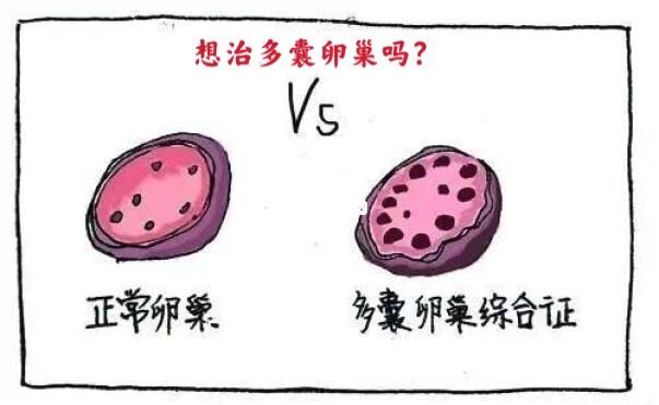 河南试管供卵 2023河南省人民医院试管婴儿成功率一览，附2023助孕成功率预估表 ‘b超如何测男女’
