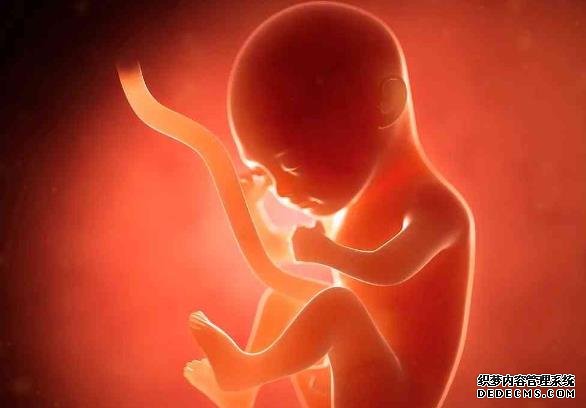 私人实验室的试管婴儿成功率并不高，还有很大的提升空间