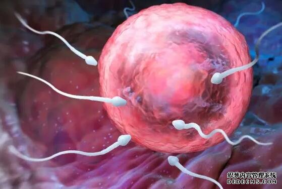 杭州代怀价格贵不贵 在杭州妇保做试管成功率的高的人群： ‘胎囊4.6*3.4*1.9是