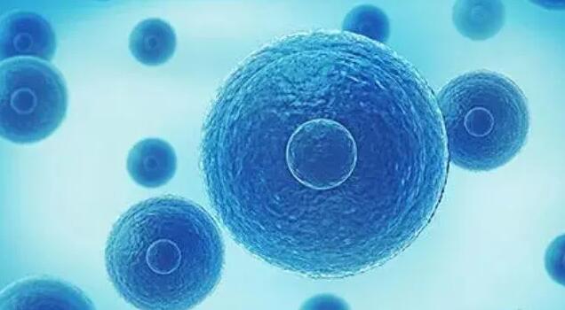 唐山试管供卵 唐山做试管婴儿的医院公立医院和私立医院哪个好？ ‘营口伊人26周四维看男女准么’