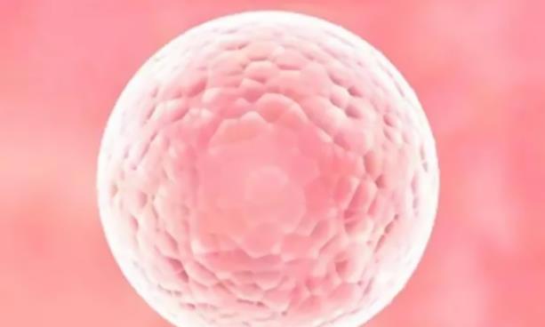 浙江省妇幼保健院做试管流程复杂吗 浙江妇幼保健院能做供卵三代试管婴儿吗 ‘代孕7个月b超查男女准确率高吗’