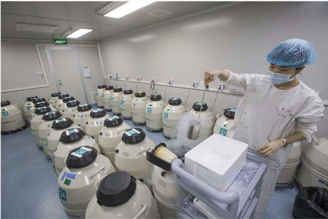 南阳有几家做试管婴儿的？选择试管婴儿医院标准是什