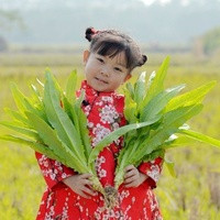 潍坊试管报销 潍坊市人民医院试管婴儿成功率是多少? ‘孕10周b超可以看男女吗’