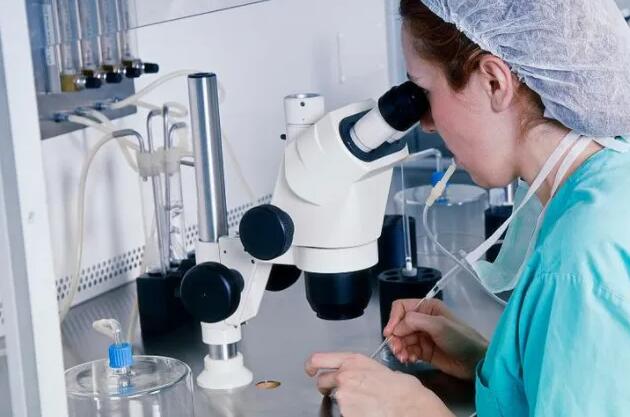 无锡试管供卵 无锡904医院试管成功经验分享： ‘b超把脐带看成男孩的图片’