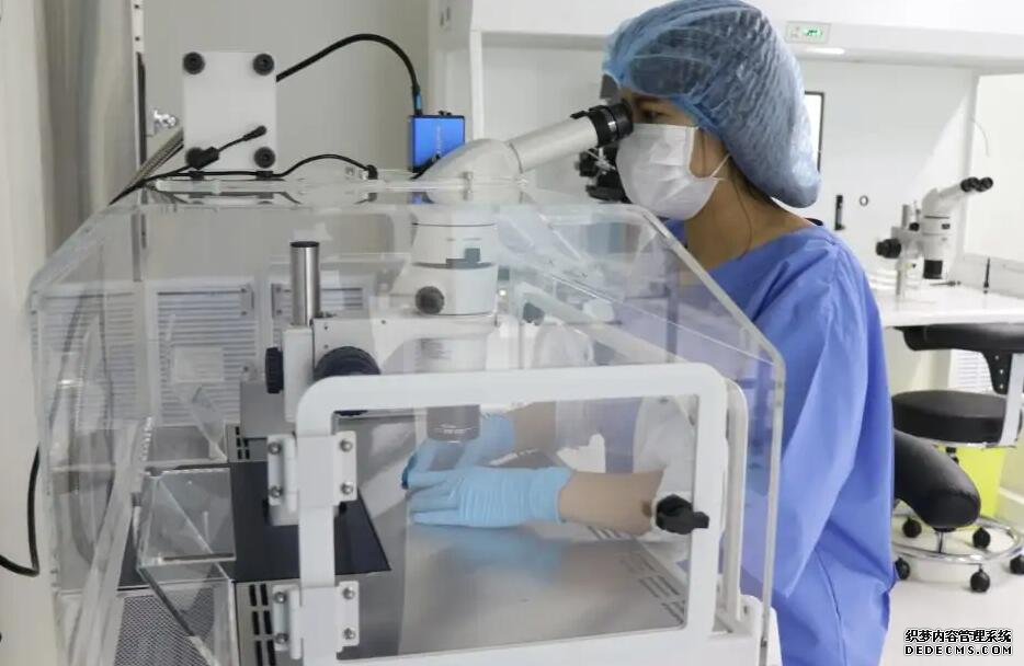 温州供卵中介机构 2022年温州试管婴儿费用大约多少? ‘有孕囊三个数据差不多一样是男孩的吗?’