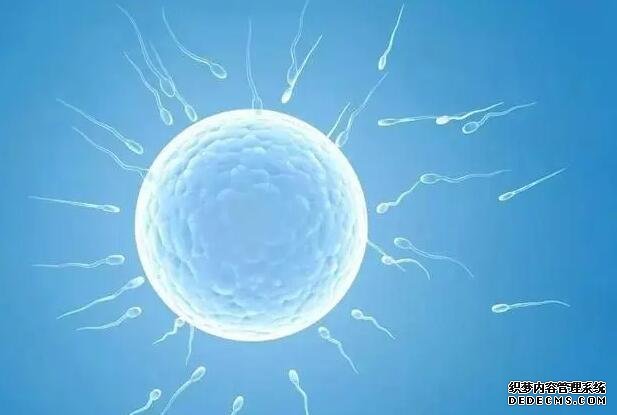 温州供卵多少钱一个 温州三代试管包生男孩价格多少？十万够吗？ ‘12周查b超男女图片’