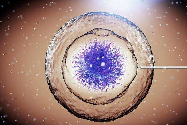 试管婴儿胚胎选哪种好？移植哪种胚胎比较好？