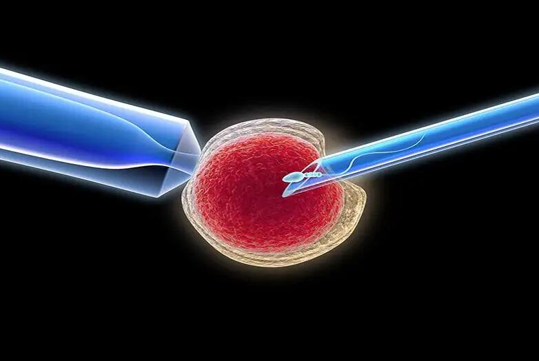 泰国杰特宁医院试管婴儿费用多少钱？