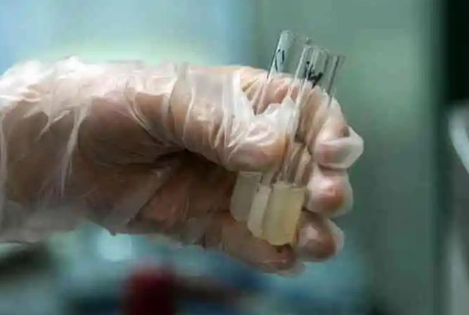 合肥901医院 试管 合肥人工试管婴儿多少钱一次？合肥做试管成功的人多不？ ‘5-6周b超如何看男孩女孩’