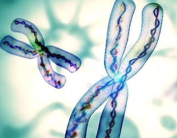 南昌试管婴儿可以报销吗？去南昌做试管医保能报吗？