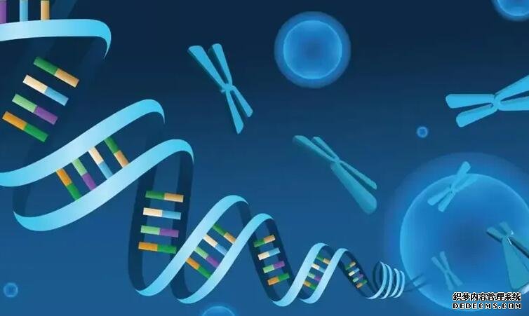 贵州供精 2022贵州医科大学附属医院做三代试管生双胞胎费用全面分析 ‘香港验血准还是b超准查男女’