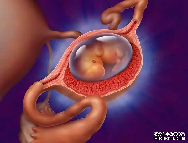 南宁助孕中心医院 2022年南宁能包生男孩的试管医院分享 ‘三维女宝宝’