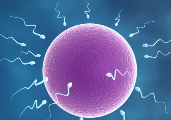 沧州试管多少钱 沧州三代试管医院选择哪一家呢三代手术更易成功吗 ‘孕期症