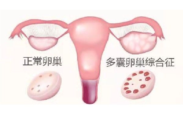江苏试管供卵 2023江苏省人民医院试管婴儿医生推荐 ‘b超看屁股查男女准吗’