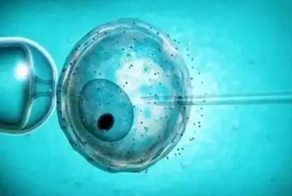 上海试管价格 上海长海医院做供卵三代试管包生男孩费用参考 ‘营口伊人26周四维看男女准么’