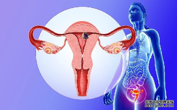 私人医院做试管有风险吗？靠谱吗-新乡哪个医院可以做试管婴儿