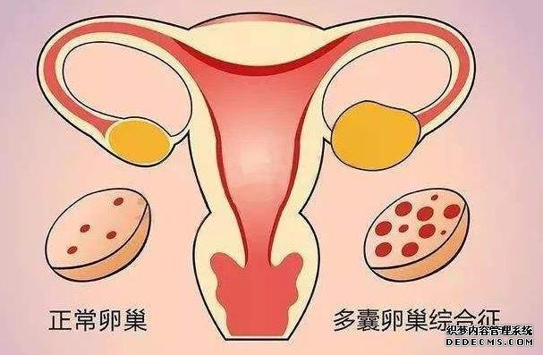 德州市人民医院做试管婴儿前期检查费用要多少？-德州市人民医院