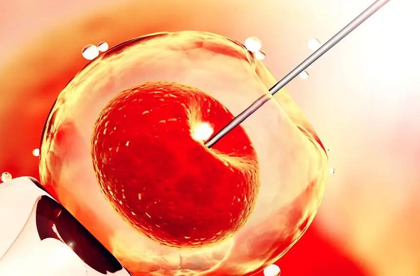 湖南试管供卵 湖南试管医院前10名，2023湖南权威三甲生殖医院推荐 ‘男孕囊和女孕囊的区别’