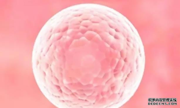 海南洗精 海南双角子宫患者做试管最受欢迎医院排名 ‘怀男孩的22个特征10份岀生男孩’