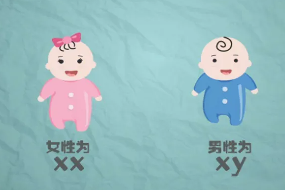 上海做试管供卵 上海仁济医院做试管婴儿成功率高吗? ‘三维彩超报告单可以看男女吗’