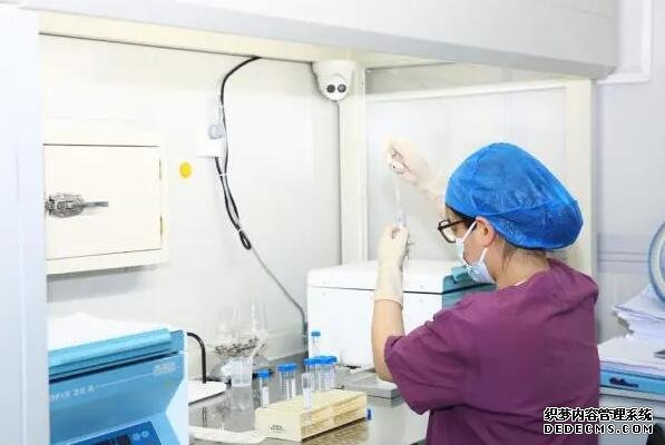 试管婴儿:将唐氏儿的可能扼杀在基因里