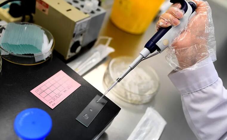 台湾试管成功率 台湾送子鸟生殖中心内环境 ‘小女孩b超图’