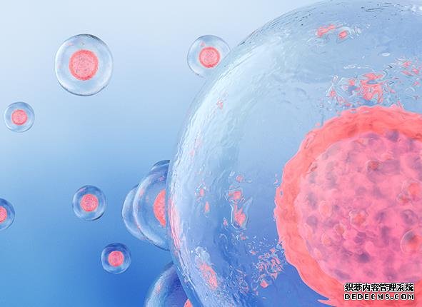 女性160斤做二代试管婴儿成功率有多少？-广州附属第三医院试管婴儿