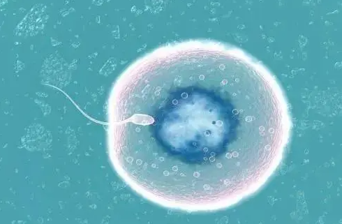 11.png