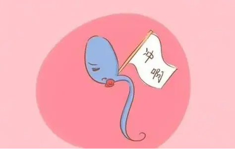 81.png