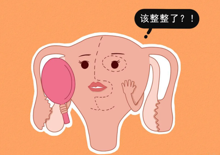 1692862392793318.png
