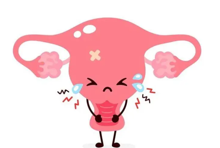 1692864717443069.png