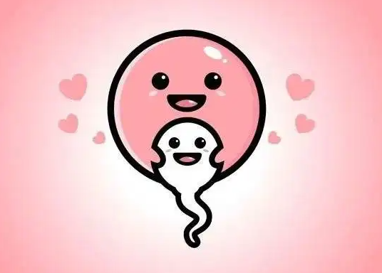 29.png
