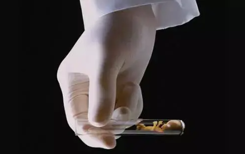 55.png